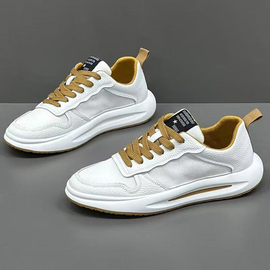 Men’s Breathable Mesh Low-top Casual Shoes
